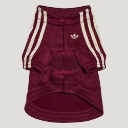 adidas 三叶草 新年款 宠物新中式外套