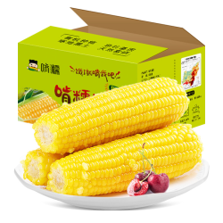 啃糯 新鲜真空包装 糯玉米  2500g
