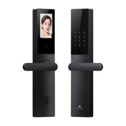 德施曼 人脸识别智能入户门锁小嘀V20F   97  V20F典雅黑