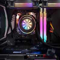  DESEROYER/毁灭者 不锁电压 电竞内存条