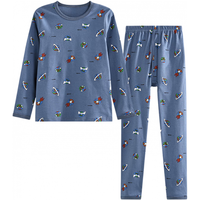 红豆儿童纯棉秋衣秋裤套装男女中大童薄款秋冬保暖内衣A类全棉棉毛衫 H3M1001灰蓝星球 150