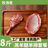 牧海肴内蒙古锡林郭勒原切羊肋排块羔羊排骨手抓羊肉清真送肚包肉 4斤羊前腿（含小腿）+4斤羊排（去肥肉）分割