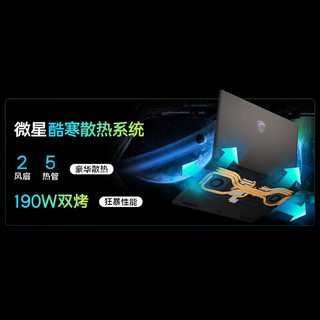  MSI/微星 神影17-037CN 满血5060 游戏本 64G内存 2T固态  2560*1600 R7-8840HX RTX 5060 240Hz 64GB 2TB