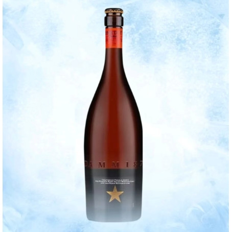 艾帝达姆 大星 精酿啤酒 750ml 单瓶装