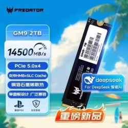 宏碁 掠夺者 GM9 2T台式机SSD固态硬盘 M.2 NVMe PCIe 5.0
