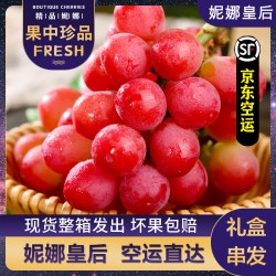 鲜果翠 中国大陆 妮娜皇后葡萄 2.5斤