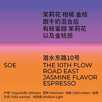 潜水东路10号SOE 茉莉花柑橘 中浅烘水洗耶加雪菲意式咖啡豆150g