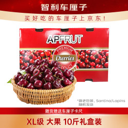 京鲜生 智利进口Santina车厘子XL级 10斤礼盒果径约24-26mm