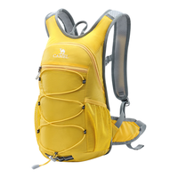 骆驼（CAMEL）【晨风】户外骑行徒步登山包旅游旅行轻便爬山背包运动双肩包4633 银杏黄