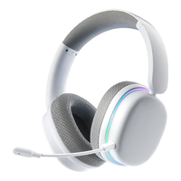 AULA/狼蛛 低延迟 无线游戏耳机 麦克风 USB7.1声卡 银翼白