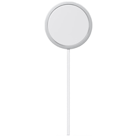 苹果MagSafe 充電器 (2 米)