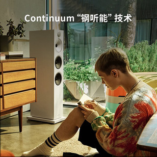 宝华韦健603 S3落地音箱家用音响家庭影院HIFI音响2.0无源音箱高保真发烧 603 S3橡木色