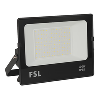 FSL佛山照明LED投光灯100W工业灯照明探照灯户外IP65防尘防水天耀 100W白光 照射约100-110平方