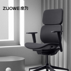 座为 ZOIF101 Light人体工学电脑椅 睿智黑