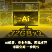  Lexar/雷克沙 RGB灯效 DDR5电竞内存条  32GB*2