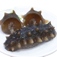 张奶奶 大连冷冻即食海参礼盒500g非干货天然辽刺参高品质海鲜无污染 即食海参200g 500g