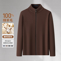 SHANSHAN杉杉100%羊毛衫男秋冬季男士商务休闲防风半高领针织毛衣加厚内搭 咖啡色 L /175