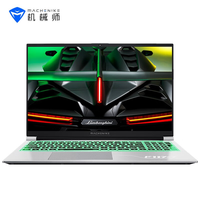 MACHENIKE 机械师 F117 毒药 十一代酷睿版 15.6英寸 游戏本 星空银 (酷睿i7-11800H、RTX 3060 6G、16GB、1TB SSD、1080P、IPS、165Hz)