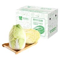 家美舒达 胶州大白菜 4kg