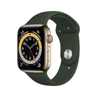 Apple 苹果 Watch Series 6 智能手表 44mm GPS+蜂窝网络版 金色不锈钢表壳 深绿色运动型表带（GPS、心率、血氧）