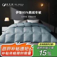 VCD）95鹅绒冬被冬季保暖加厚双人羽绒被被芯充1.1kg 220*240cm蓝色 95伊犁鹅绒款 220cm*240cm