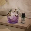 扩香石香薰室内持久家用高级晶石精油香薰石卧室女生房间客厅摆件 【梦语】紫水晶+干花+礼盒-常规款