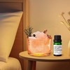 扩香石香薰室内持久家用高级晶石精油香薰石卧室女生房间客厅摆件 【微醺】橙水晶+干花+礼盒-常规款