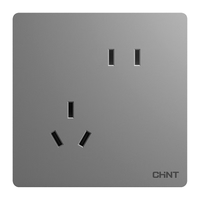 CHNT 正泰 香榭丽系列 NEW2-L11130 斜五孔插座 幻银灰 十只装