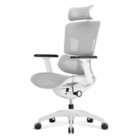 ERGOUP 有谱 fly mini 人体工学电脑椅 灰色 升级版