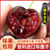 移动专享、移动端：车厘子JK S1智利空运车厘子新鲜水果当季XL-5J0.9-5斤内附果径卡 JJ 0.9斤