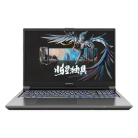 COLORFUL 七彩虹 将星X15-AT 十三代酷睿版 15.6英寸 游戏本 星耀灰（酷睿i5-13500HX、RTX 4060 8G、16GB、512GB SSD、2.5K、IPS、165Hz）