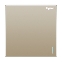 罗格朗 开关插座面板仕典米兰金家用86型五孔带USB墙壁电源暗装多孔插座 空白面板