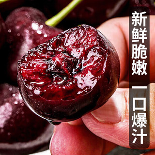 御京鲜智利车厘子次日达【JD/】车厘子5kg樱桃水果礼盒送 3斤(净重) 超大果2JJ级 单果28-30mm