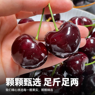 御京鲜智利车厘子次日达【JD/】车厘子5kg樱桃水果礼盒送 3斤(净重) 超大果2JJ级 单果28-30mm