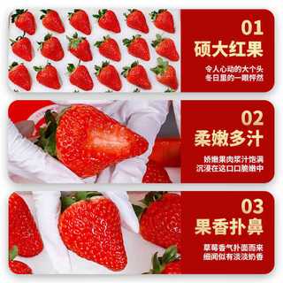 京地达 四川草莓 水果礼盒生鲜 净重1.2斤 单果15g+ 源头直发