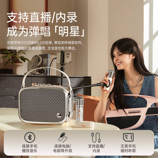  DIVOOM/点音 便携 蓝牙音箱 话筒麦克风
