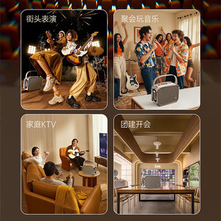  DIVOOM/点音 便携 蓝牙音箱 话筒麦克风