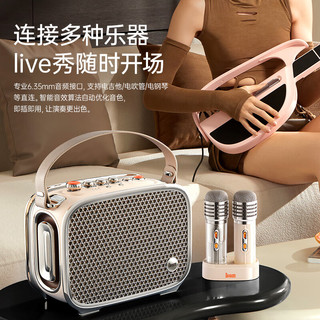  DIVOOM/点音 便携 蓝牙音箱 话筒麦克风
