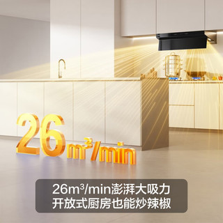  MQ/名气 大吸力 抽吸油烟机