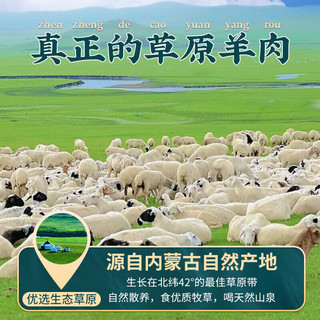  目无全牛 手工 羊肉串  简装
