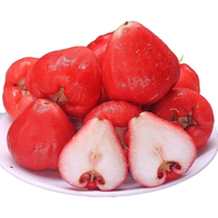 Mr.Seafood 京鲜生 海南黑金刚莲雾 2斤装 单果75g起 热带水果 树上熟 源头直发