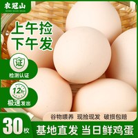 蛋农冠 农冠山 河南南阳精选谷物鸡蛋 400g 30枚