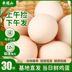 蛋农冠 农冠山 河南南阳精选谷物鸡蛋 400g 30枚