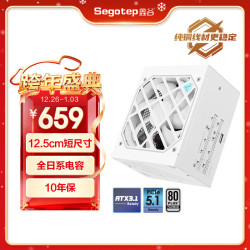 鑫谷 数智DM-850P冰山版白金牌数字电源（12.5