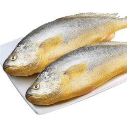 鲜驰 新货大黄花鱼新鲜冷冻生鲜水产鲜活冰鲜海鱼宁德小黄鱼黄鱼鲞商用