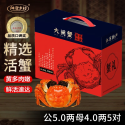 阳澄乡村 大闸蟹公5-5.3两母4-4.3两5对10只鲜活螃蟹现货生鲜年货礼盒 源头直发