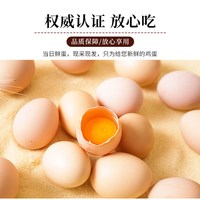 农冠山鸡蛋新鲜30枚农家山林散养五谷杂粮农村大个土鸡蛋营养