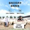 原切半只羊宁夏盐池滩羊肉新鲜现杀切块羊腿羊排蝎子年货礼盒 10斤