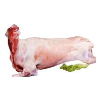 井親【活羊现杀】内蒙古草原散养全羊 整只新鲜白条羊 烤全羊礼盒装 12斤 苏尼特 半只羊