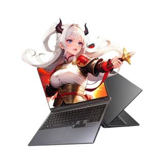  MECHREVO/机械革命 蛟龙16 Pro RTX5070独显 笔记本电脑